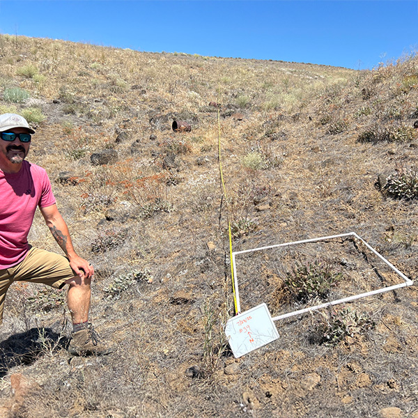 Burn seeding